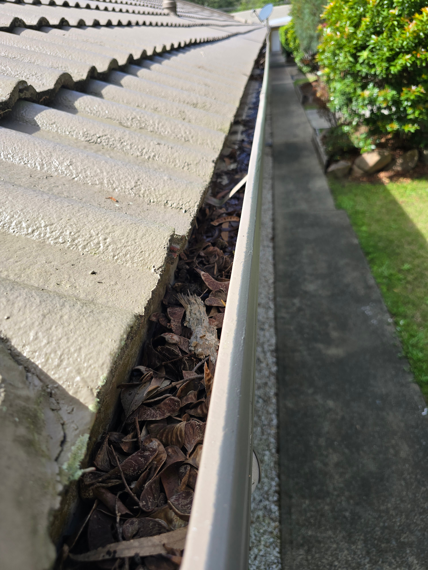Blocked gutters full of leaves