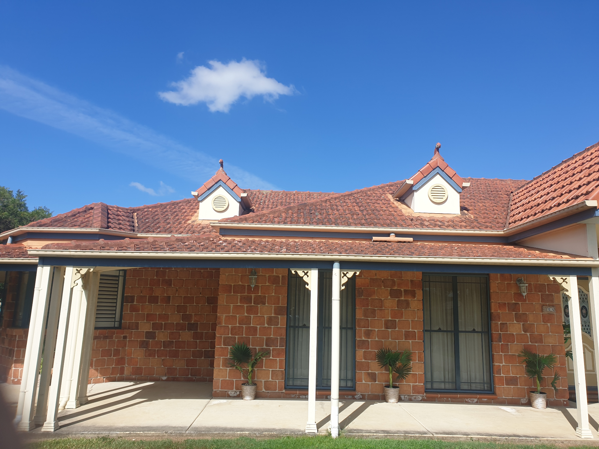 Terracotta roof tiles covered in biological growth and lichen on a South East Queensland home