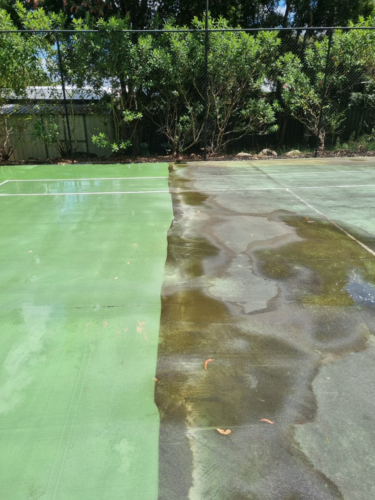 Tennis court mid-clean showing dramatic difference between cleaned left side and dirty right side