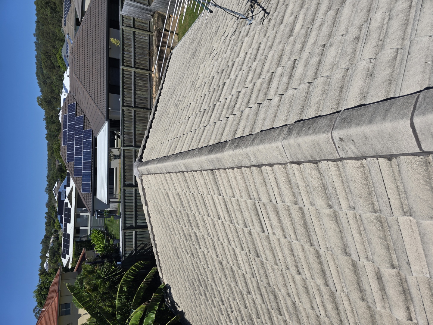Concrete tile roof in South East Queensland heavily soiled with algae and lichen before professional soft wash cleaning