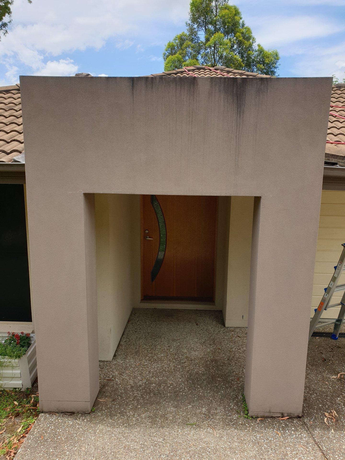 Dark streaking and mould on house fascia before professional soft wash — South East Queensland home